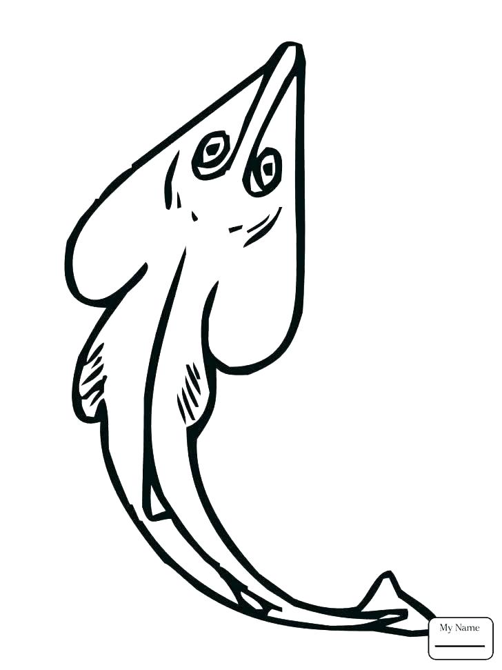 728x971 X Ray Fish Coloring