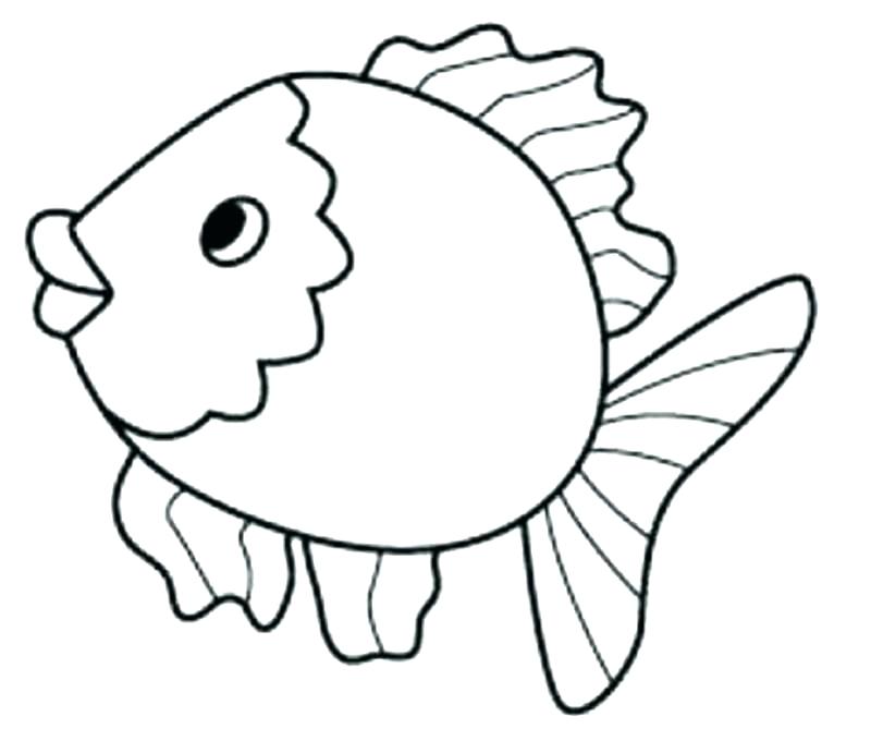 800x680 X Ray Fish Coloring