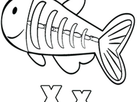 440x330 X Ray Fish Coloring