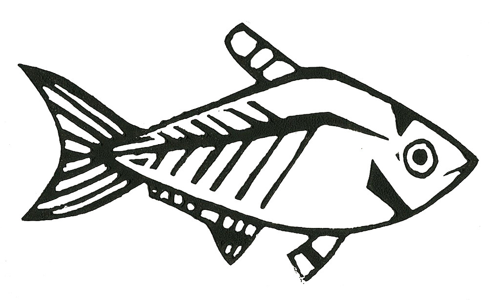 1024x616 X Ray Fish Lottie Pencheon