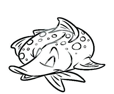 400x331 X Ray Fish Coloring