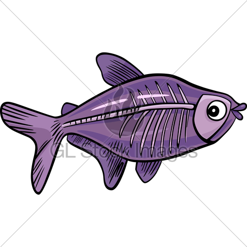 500x500 Cartoon X Ray Fish Gl Stock Images