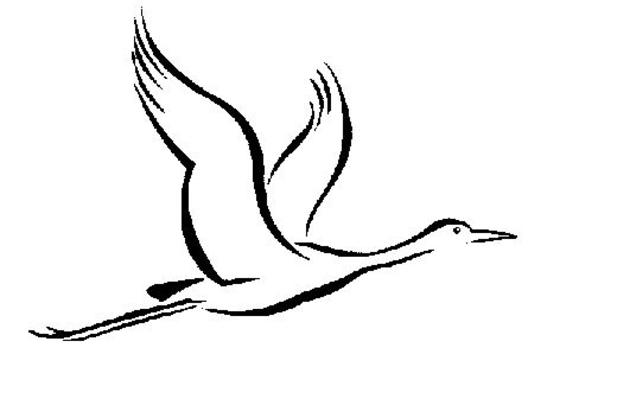 630x401 sandhill crane clipart drawing