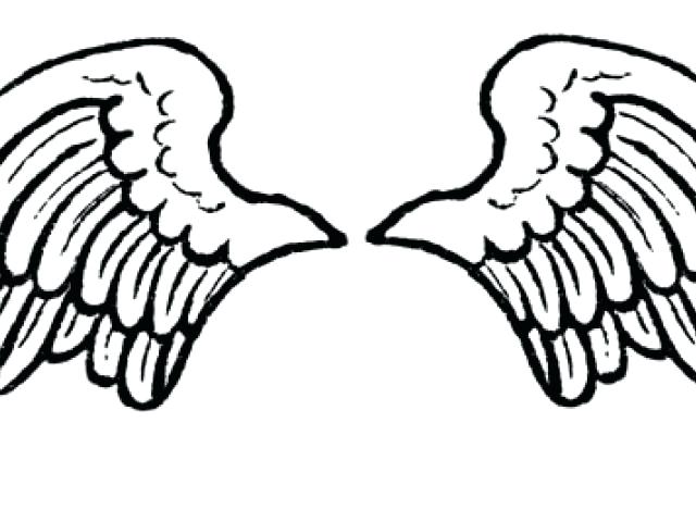 640x480 Angel Wing Clipart Akshayreddy