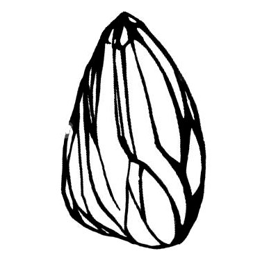 374x374 Ledoux Lab On Twitter Of Mice And Xanax