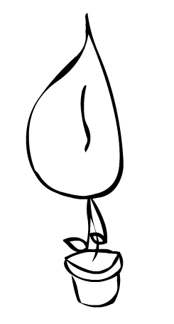 245x455 why is kratom so important, what's the big deal herb examiner