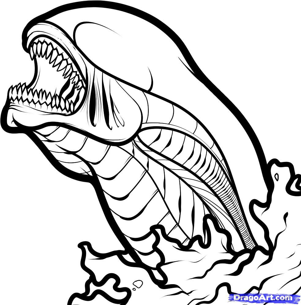 983x998 Step How To Draw A Chestburster, Chestburster