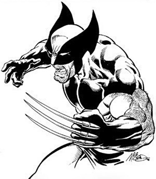 500x573 Wolverine