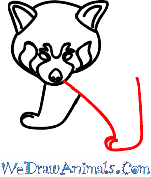 300x350 Red Panda Clipart Easy Draw