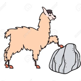 336x336 Alpaca Drawing Ideas Tool Cartoon Download Baby Easy Iydunetwork