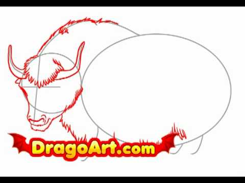 480x360 How To Draw A Yak, Step