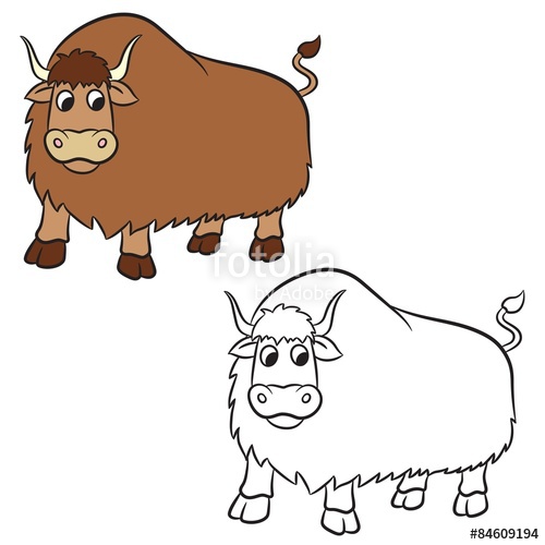 500x500 Illustration Of Yak On A White Background Coloring Book Stock