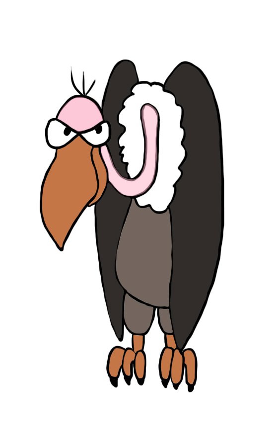 558x886 Vulture Drawing In Color Clipart Art, Bird Drawings, Drawings