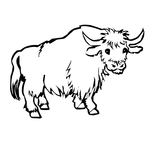 600x600 Yak Photos Free