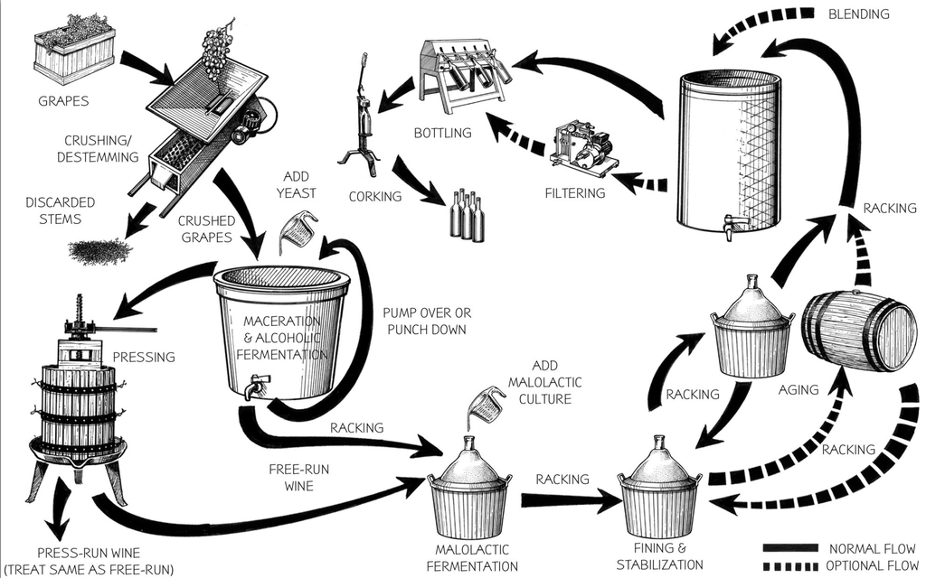 1024x640 General Guide To Making Wine From Grapes Northeast Winemaking