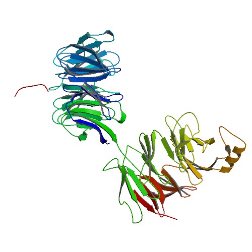 500x500 Rcsb Pdb