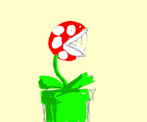 300x250 yeast of thoughts and mind