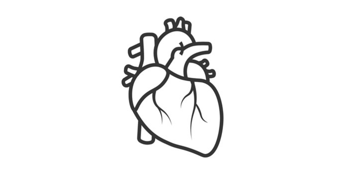 693x350 you can get a yeast infection in your heart, and here's what you