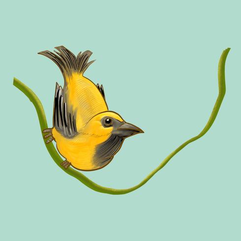 490x490 Drawing Of A Yellow Bird