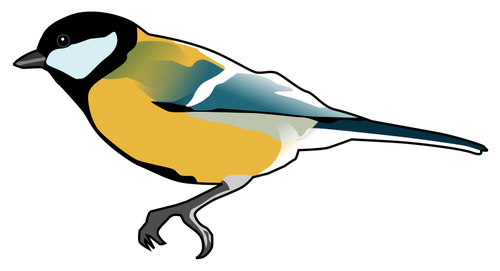 500x271 Great Tit Bird Drawing