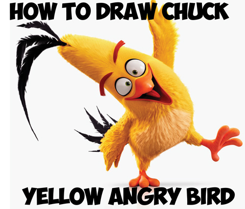 500x427 How To Draw Chuck The Yellow Bird From The Angry Birds Movie