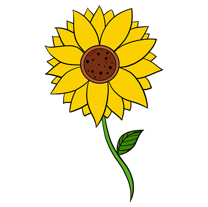 680x678 How To Draw A Sunflower