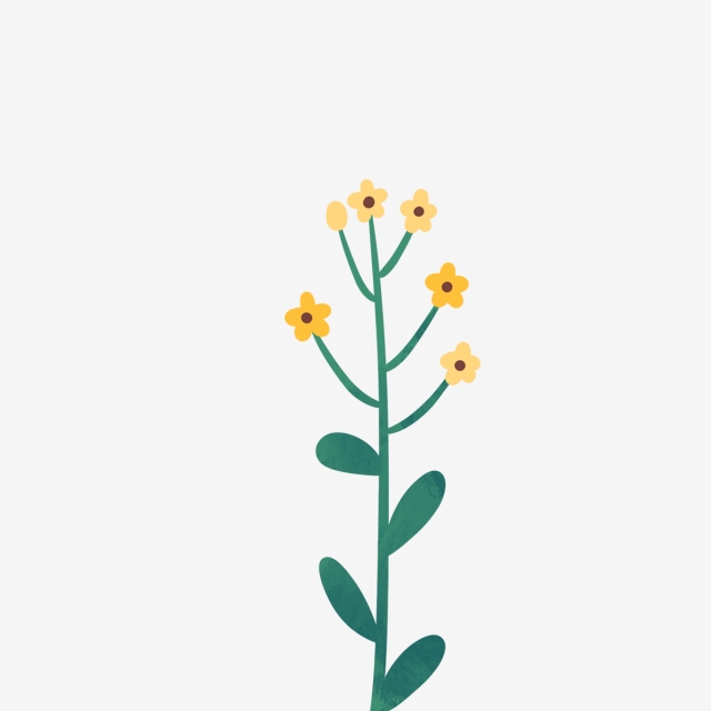 640x640 Hand Drawn Beautiful Small Yellow Flowers, Drawing, Nature, Cute