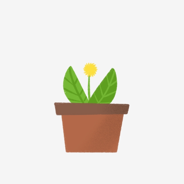 640x640 Hand Drawn Cute Pot Plant With Little Yellow Flower, Drawing