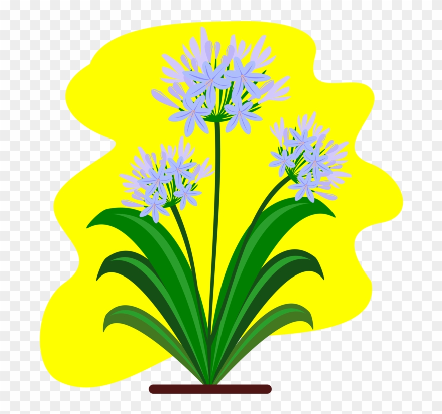 880x825 Cut Flowers Yellow Floral Design Raster Graphics