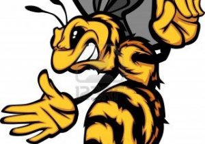 300x210 Wasp Drawing Cartoon Images For Gt Cartoon Orange Yellow Jacket