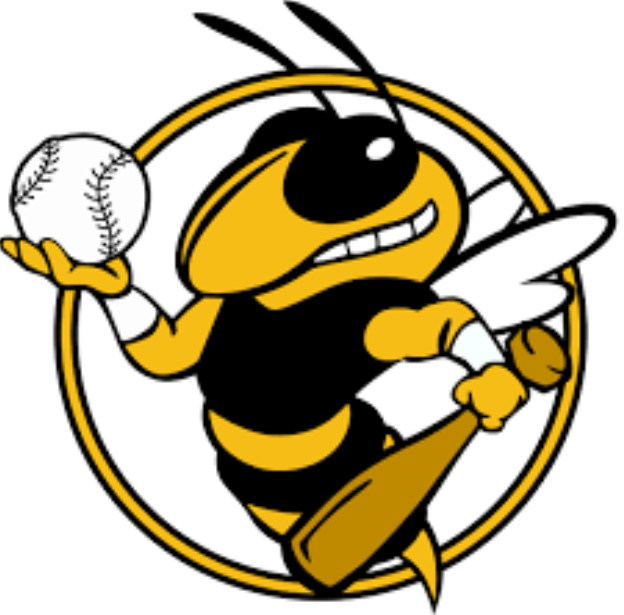 624x615 Yellow Jackets Little League
