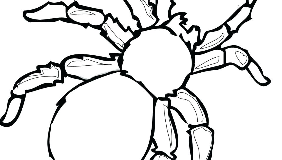 960x544 Yellow Jacket Coloring