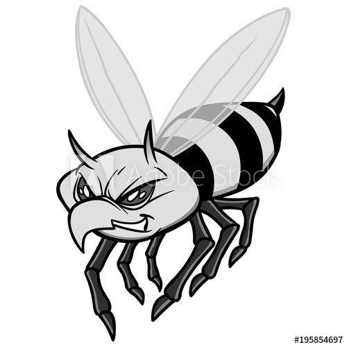 500x500 Yellow Jacket Illustration