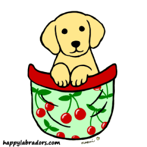 300x300 Yellow Labrador Puppy Gate Cartoon Gifts