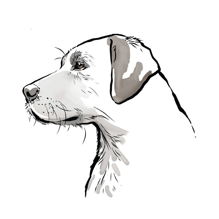 900x899 Labrador Print, Yellow, Chocolate, Black Or Fox Red