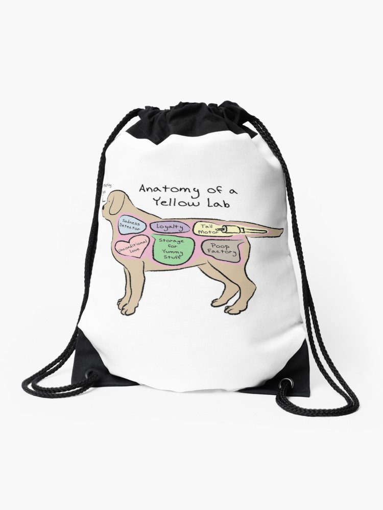 750x1000 Anatomy Of A Yellow Lab Drawstring Bag