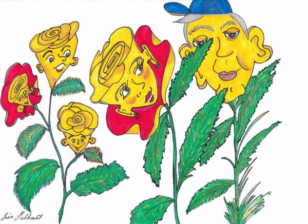 600x437 Yellow Rose Drawings