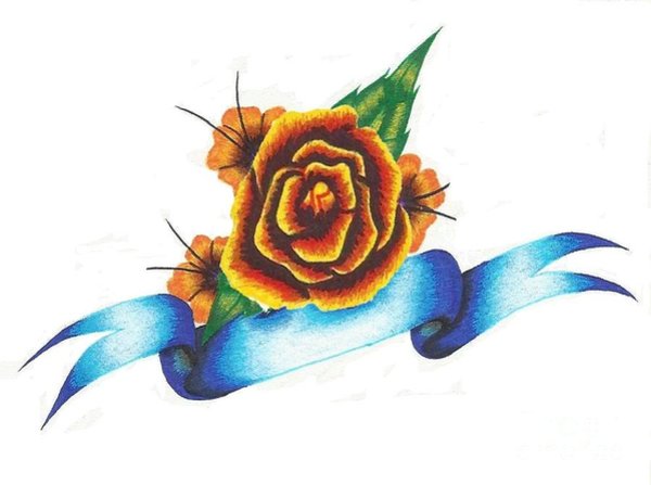 600x447 Yellow Rose Drawings