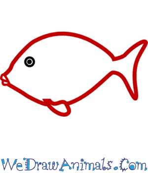 300x350 How To Draw A Blue Tang