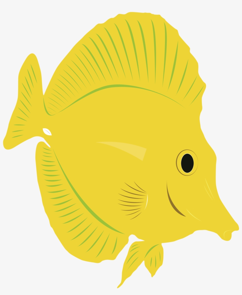 820x999 Yellow Tang Drawing At Getdrawings