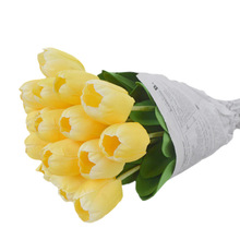 220x220 Buy Flower Tulips Drawing And Get Free Shipping