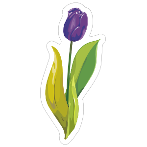 300x300 Collection Of Free Tulips Drawing Boot Download On Ui Ex