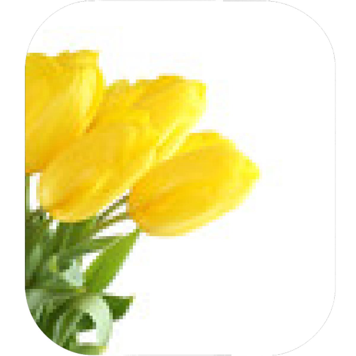 1200x1200 Designs Mein Mousepad Design Mousepad Selbst Designen