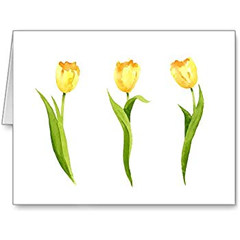 350x350 Yellow Tulips