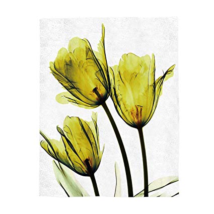 425x425 Luxury Flannel Fleece Throw Blanket Super Soft Warm