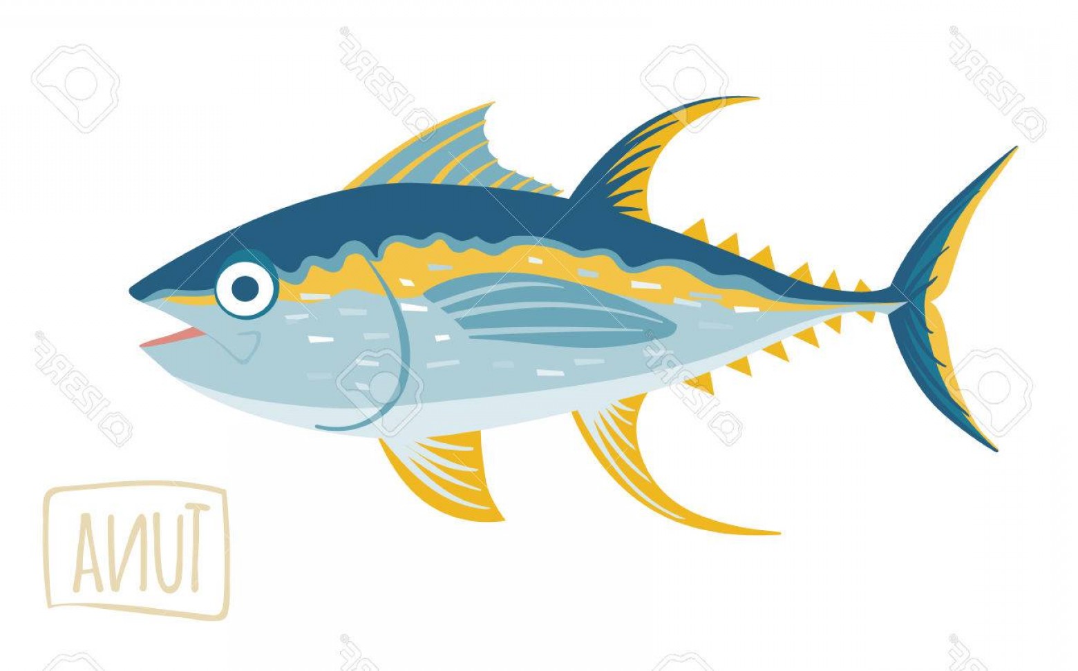 1560x972 Tuna Vector Sohadacouri