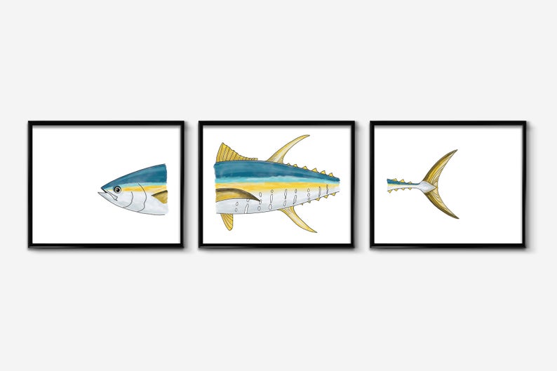 794x529 Yellowfin Tuna Tryptic Print Illustration Fish Wall Art Etsy