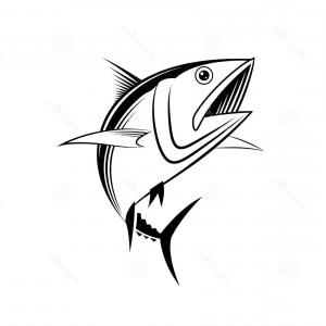 300x300 Yellowfin Tuna Vector Illustration Isolated On Sohadacouri