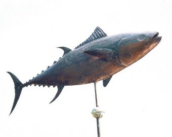 340x270 Yellowfin Tuna Art Etsy