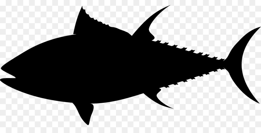 900x460 Illustration, Fish, Drawing, Transparent Png Image Clipart Free